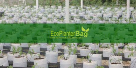 Supplier Planter Bag Berkualitas, Untuk Pembibitan Aneka Macam Tanaman
